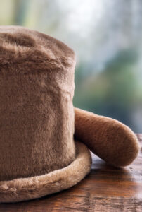 ストレートタイプ
わんちゃんにもねこちゃんにも合わせやすい、基本の形です。