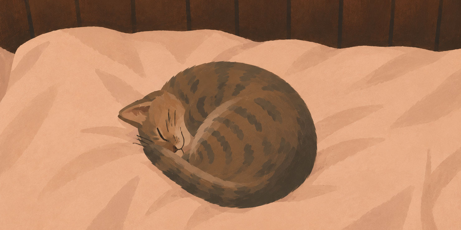 押し入れの中でひとりぼっち